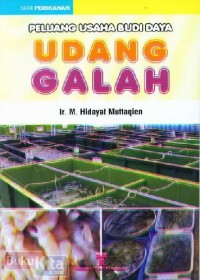 Peluang Usaha Budidaya udang Galah