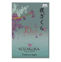 Yozakura 